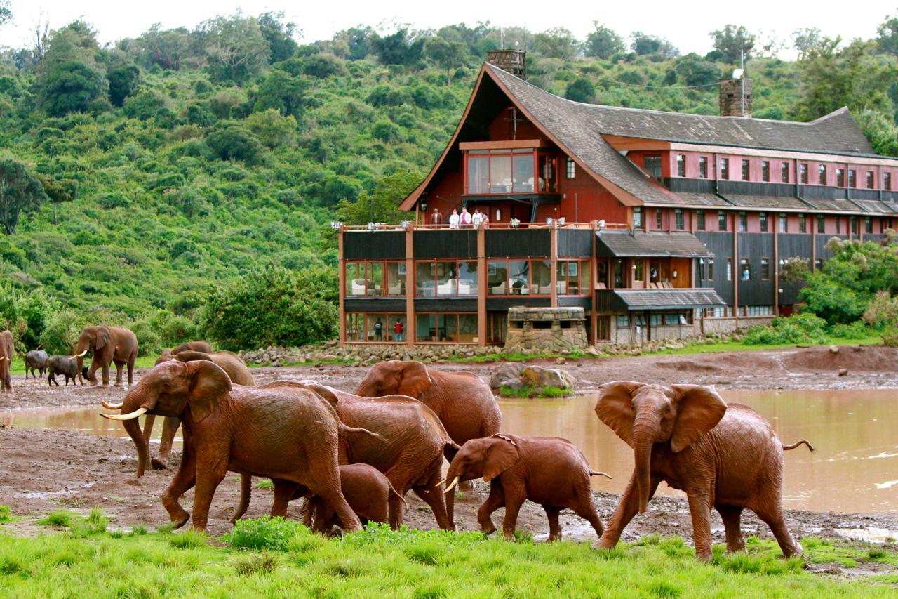 The Ark Lodge Nyeri Exterior photo